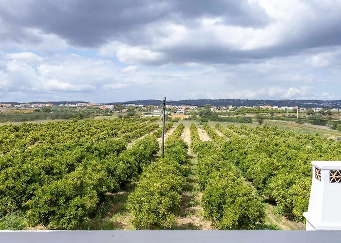 Ramos By Ecovillas Albufeira 奥霍斯德古阿