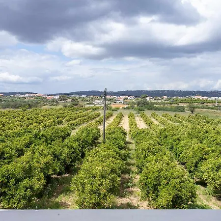 Ramos By Ecovillas Albufeira オーリョス・デ・アーグァ